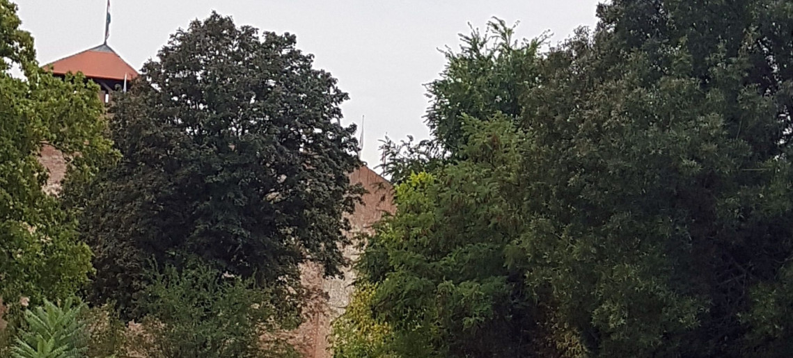 Gréta Apartman Gyula - 4