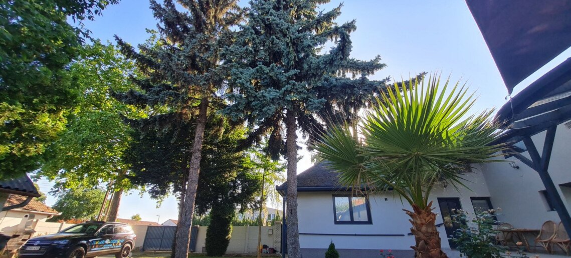 Tacskó Apartmanház Gyula - 14