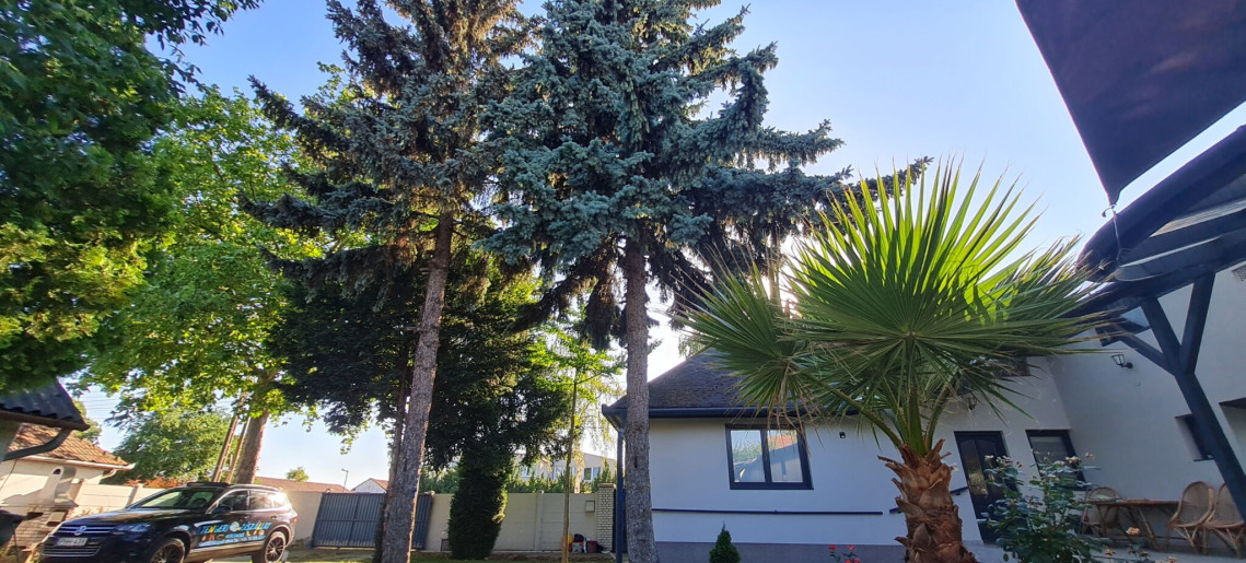 Tacskó Apartmanház Gyula - 14