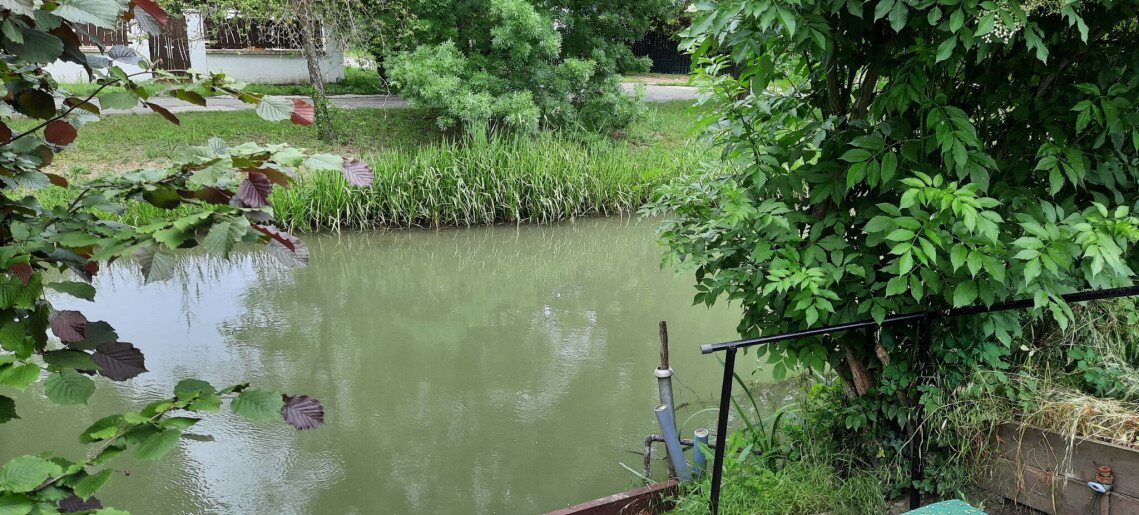 Alexander Vendégház Gyula - 6