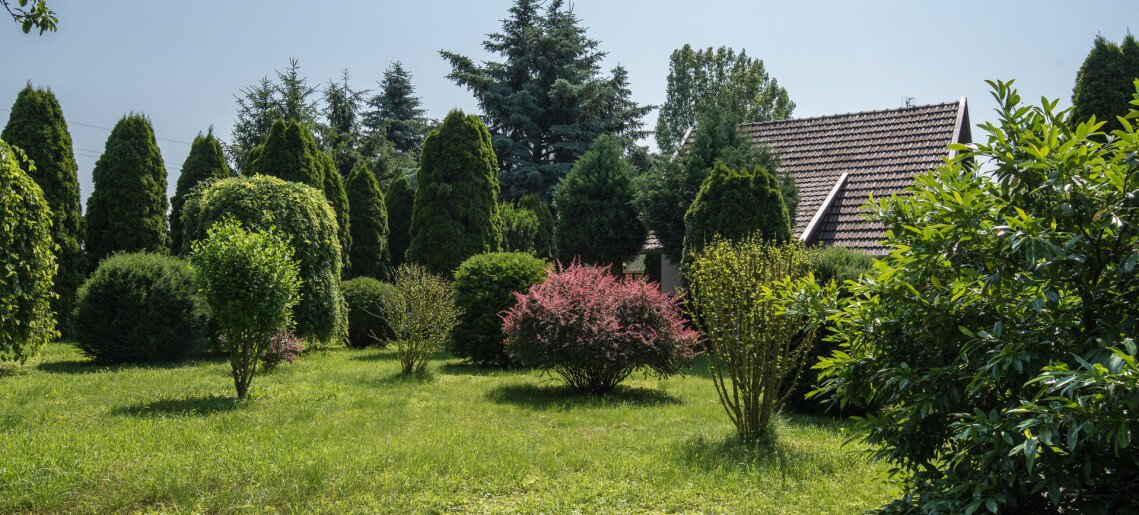 Pósteleki Vendégház - Nyugalom szigetei Gyula - 15