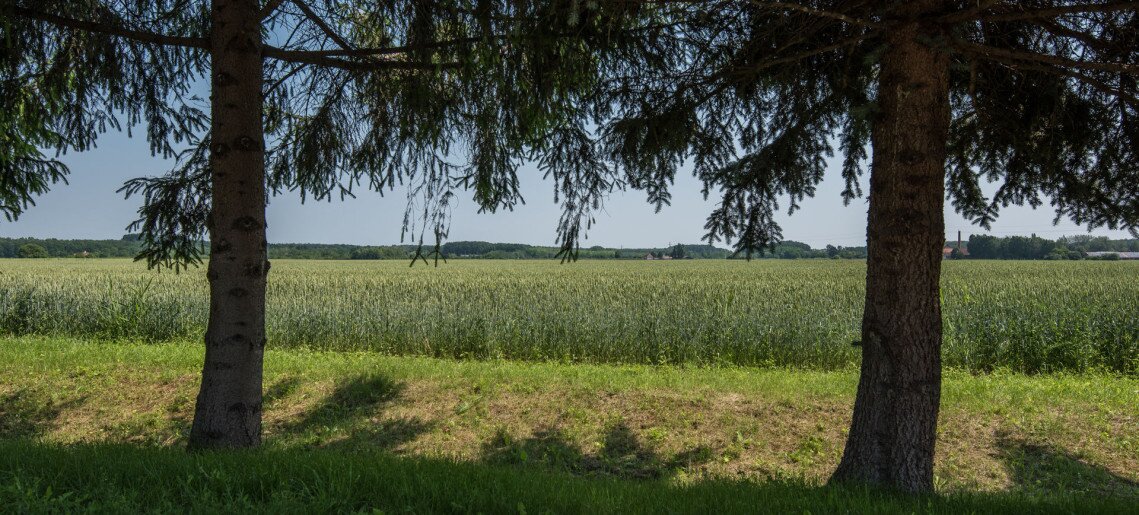 Pósteleki Vendégház - Nyugalom szigetei Gyula - 19