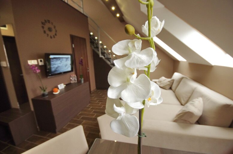 Royal Residence Apartments Gyula - 21