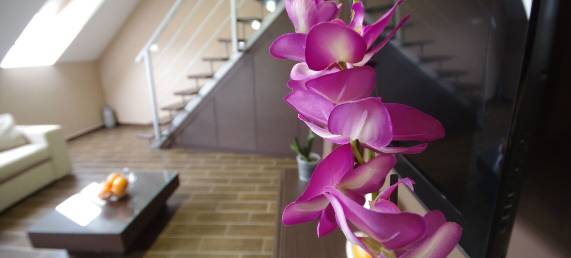 Royal Residence Apartments Gyula - 32