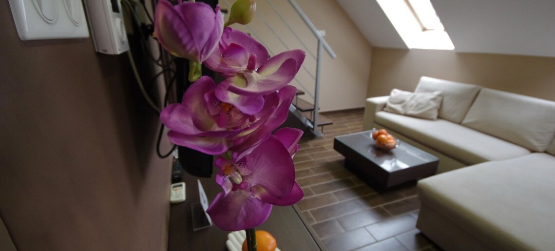 Royal Residence Apartments Gyula - 63