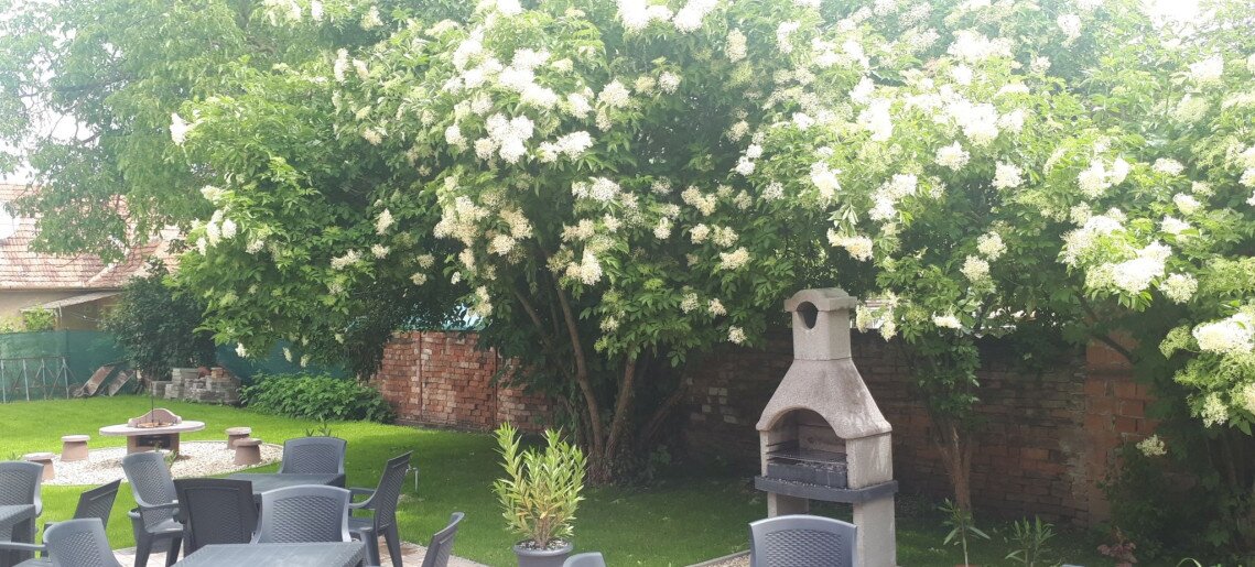 Pacsirta Apartman Gyula - 7