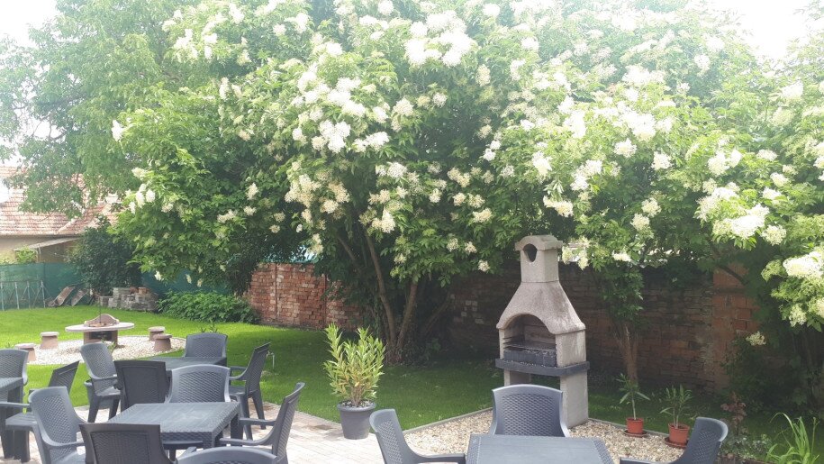 Pacsirta Apartman Gyula - 7