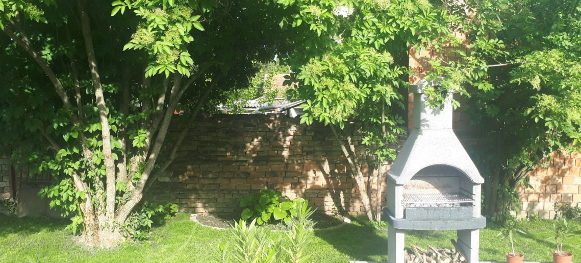 Pacsirta Apartman Gyula - 8