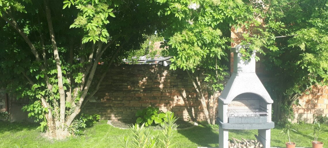 Pacsirta Apartman Gyula - 8