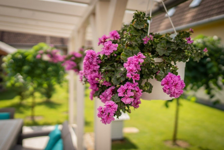 LaurApartman Gyula - 10