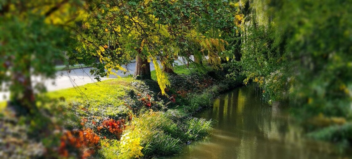 LaurApartman Gyula - 15