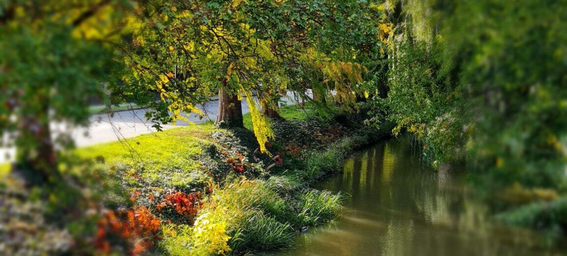 LaurApartman Gyula - 15