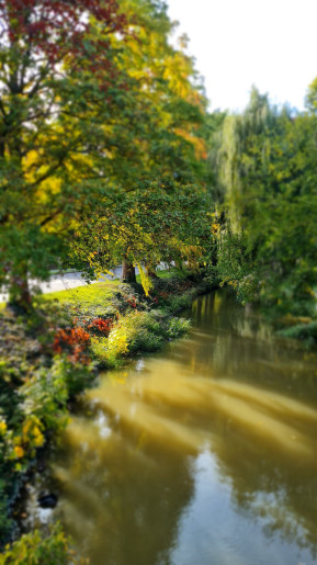 LaurApartman Gyula - 15