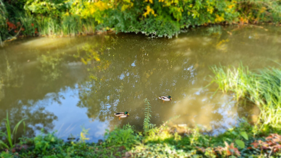 LaurApartman Gyula - 16