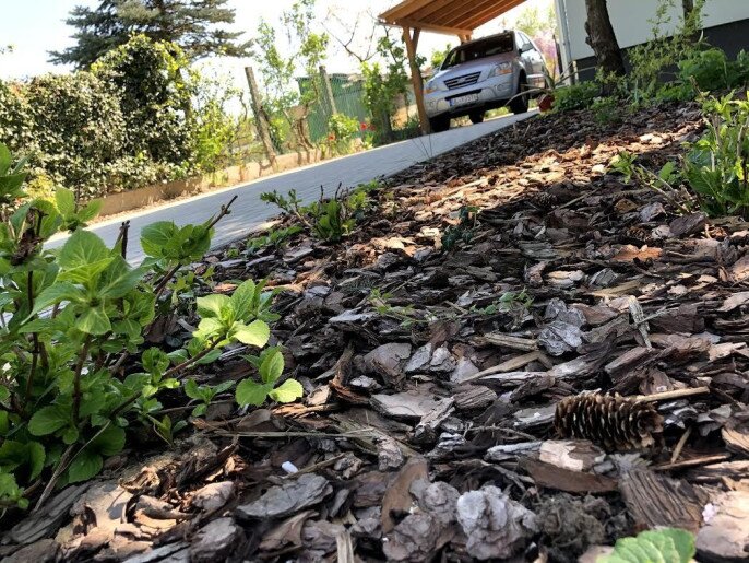 Vica Apartman Gyula - 3