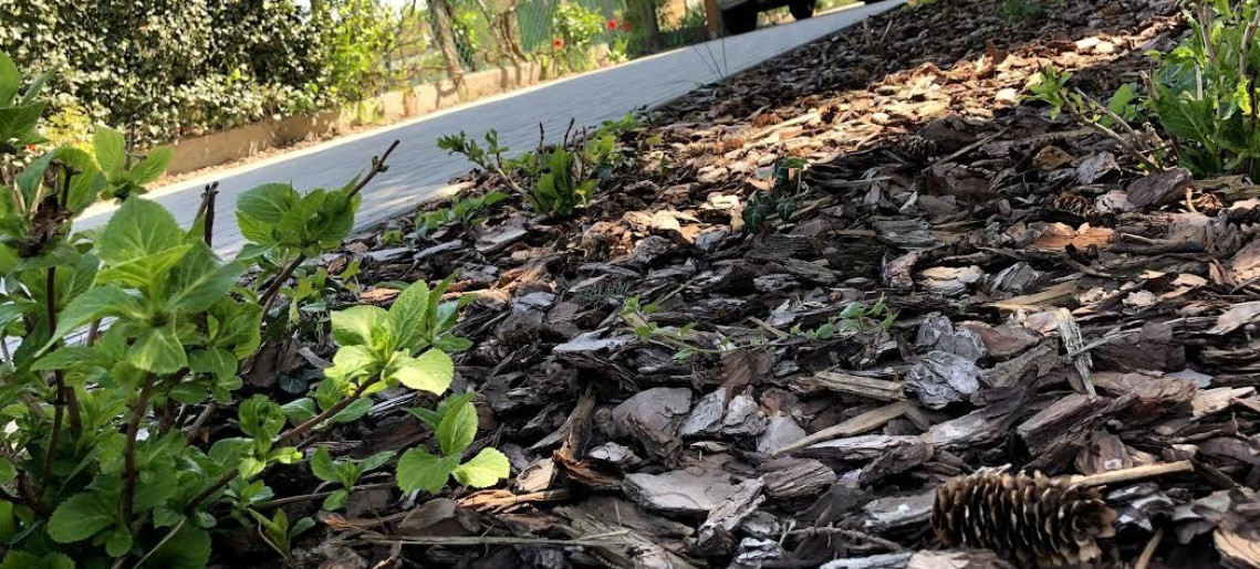 Vica Apartman Gyula - 3