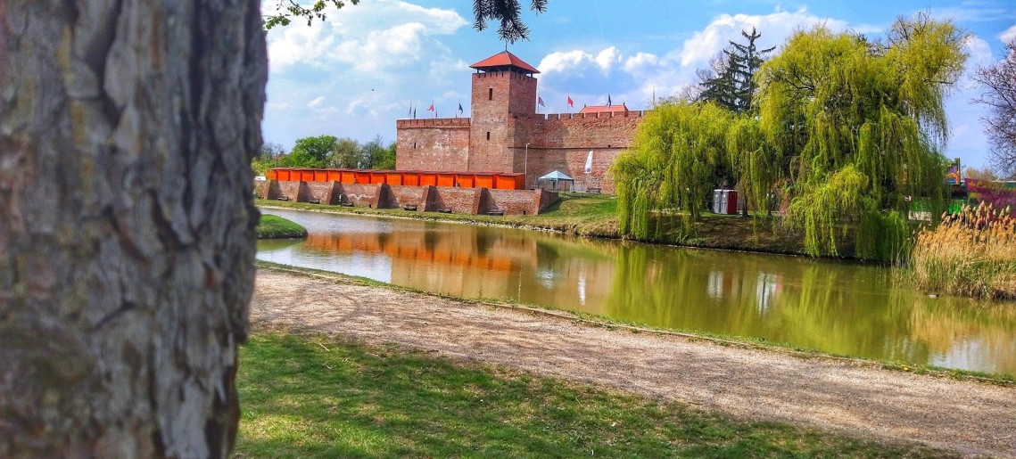 Vica Apartman Gyula - 4