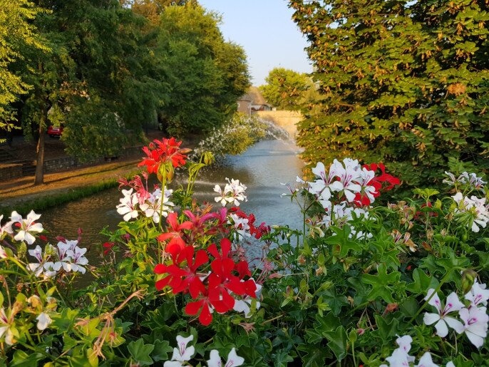 Vica Apartman Gyula - 10