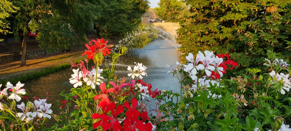 Vica Apartman Gyula - 10