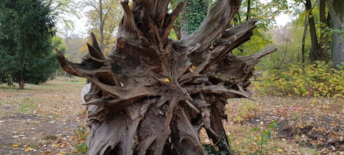 Vica Apartman Gyula - 11