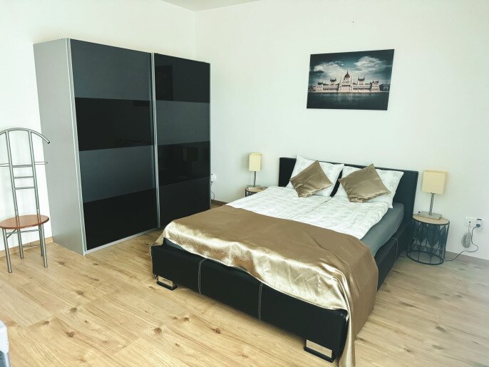 Vica Apartman Gyula - 21