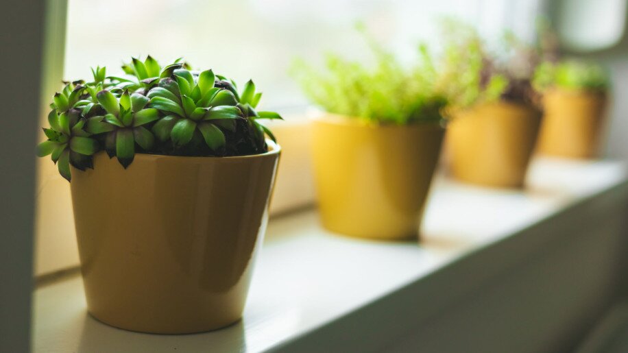 Vica Apartman Gyula - 23