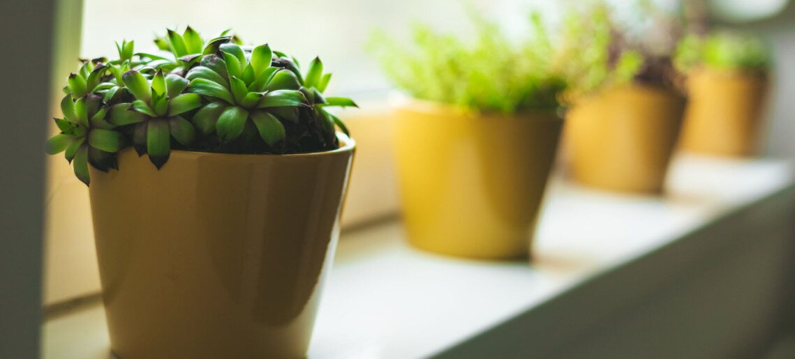 Vica Apartman Gyula - 23