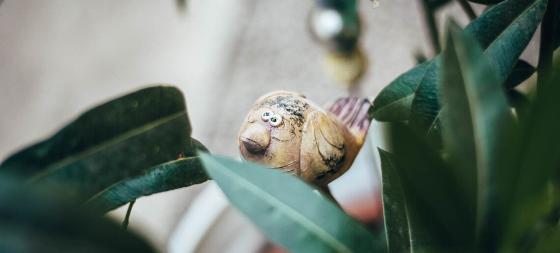 Fészek Apartmanház Gyula - 2