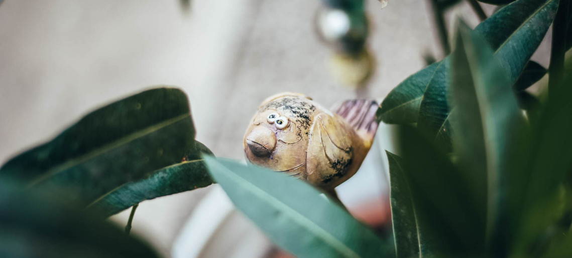 Fészek Apartmanház Gyula - 2