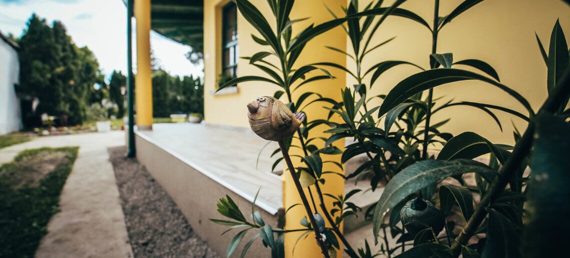 Fészek Apartmanház Gyula - 4