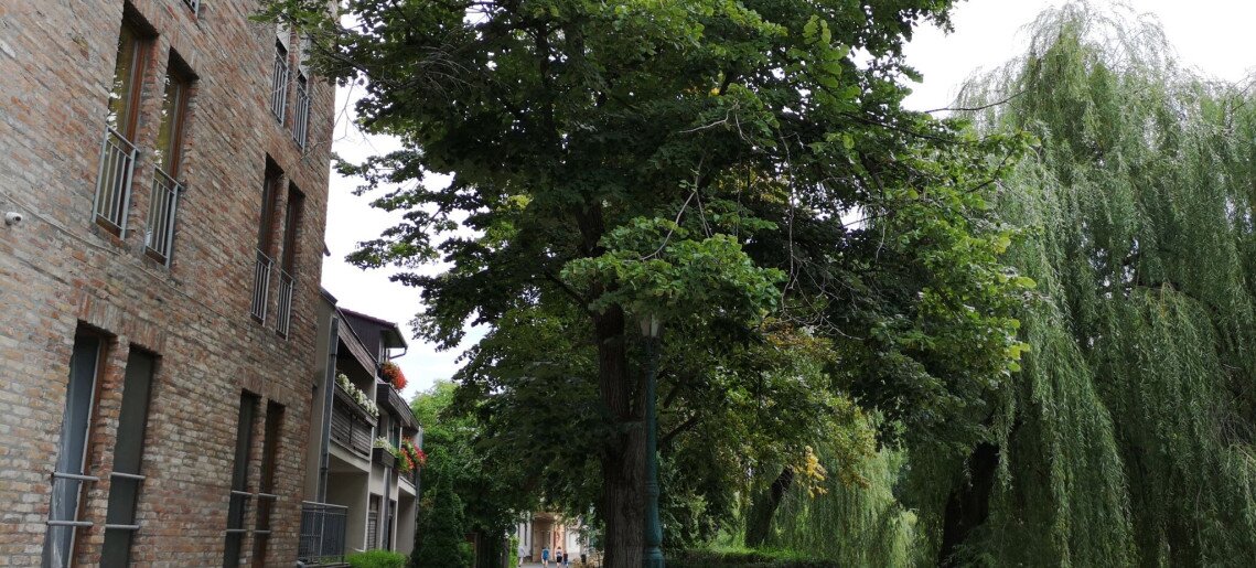 Belvárosi Terasz Apartman Gyula - 3