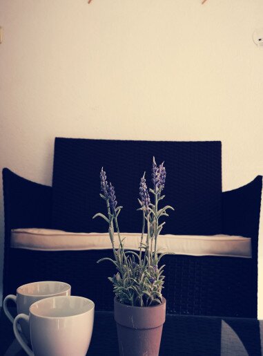Várkert Apartman Duplex Gyula - 5
