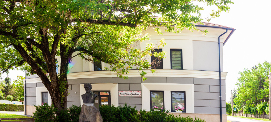 Corso Lux Apartman Gyula - 46