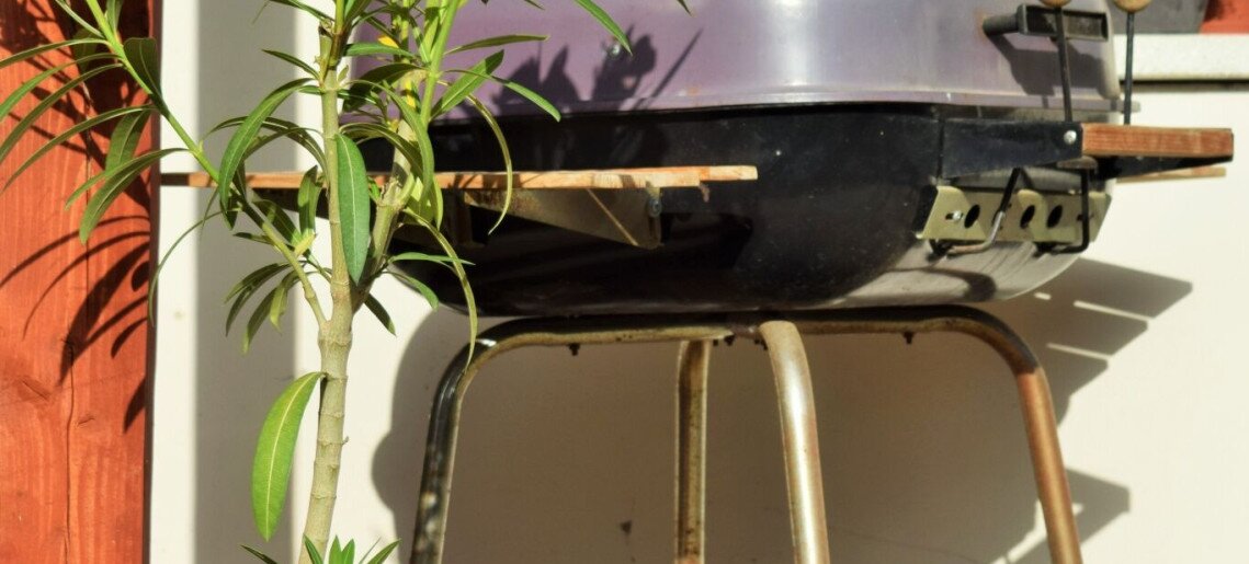 Poppy Apartman Gyula - 10