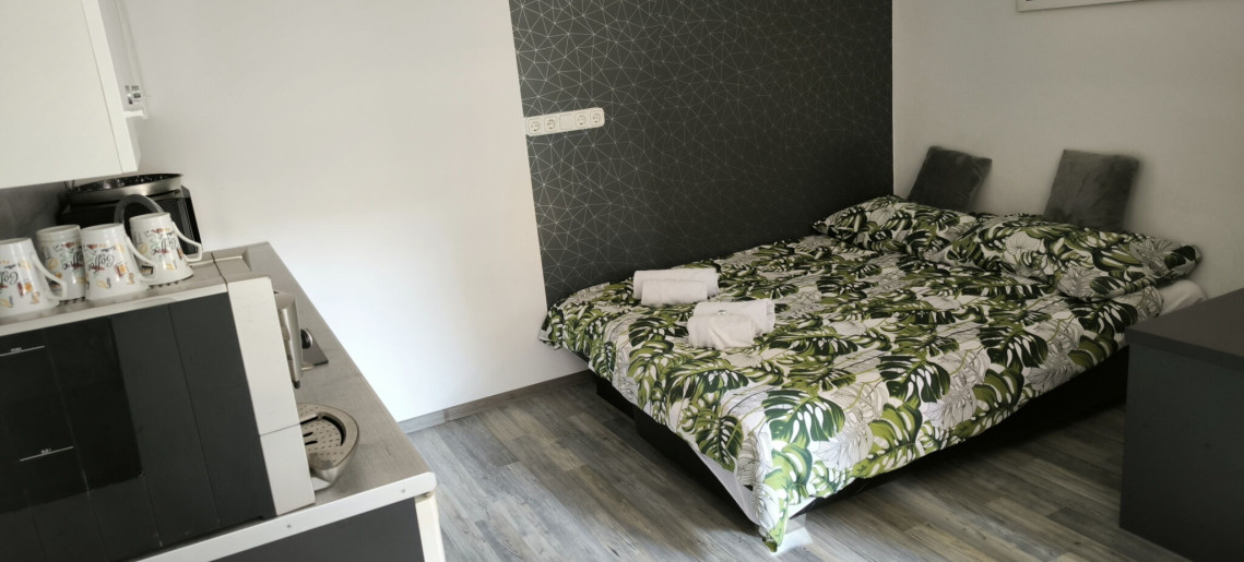 NATA Apartman Gyula - 9
