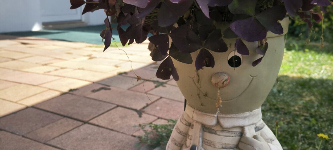 NATA Apartman Gyula - 14