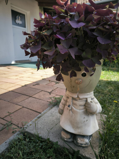 NATA Apartman Gyula - 14