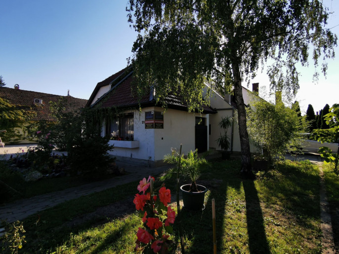 Ambient de Luxe Apartman Gyula - 2