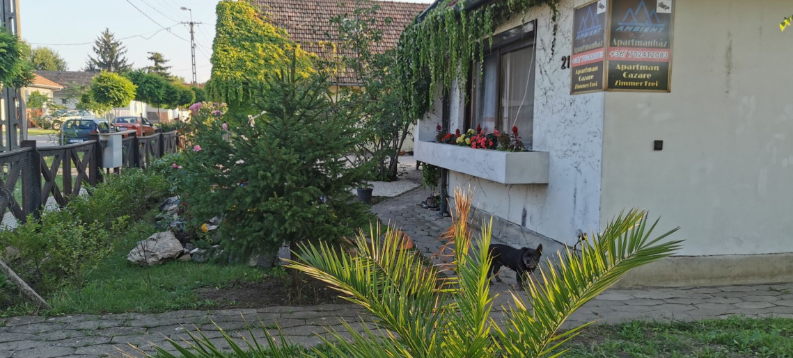 Ambient Thermal Apartman Gyula - 4