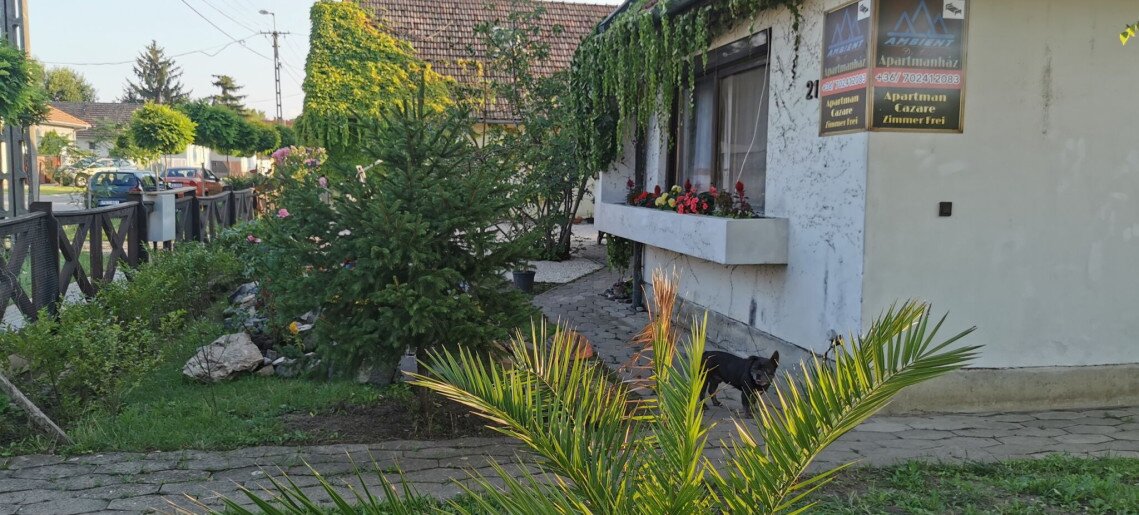 Ambient Thermal Apartman Gyula - 4