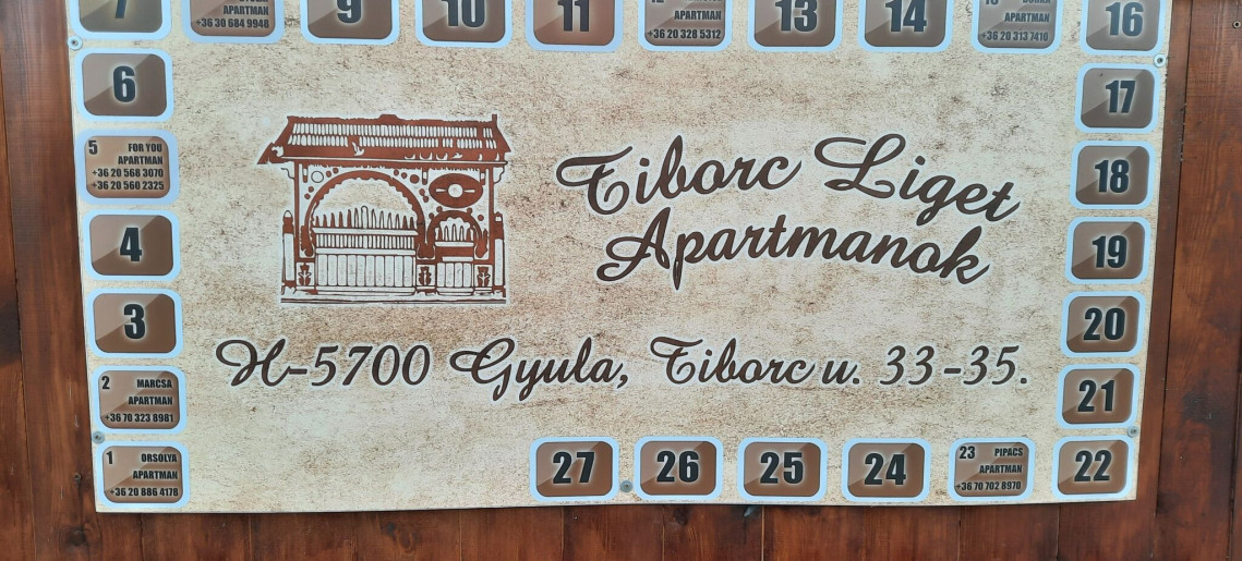 For You Apartman Gyula - 4