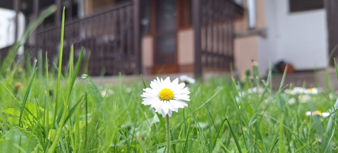 For You Apartman Gyula - 20