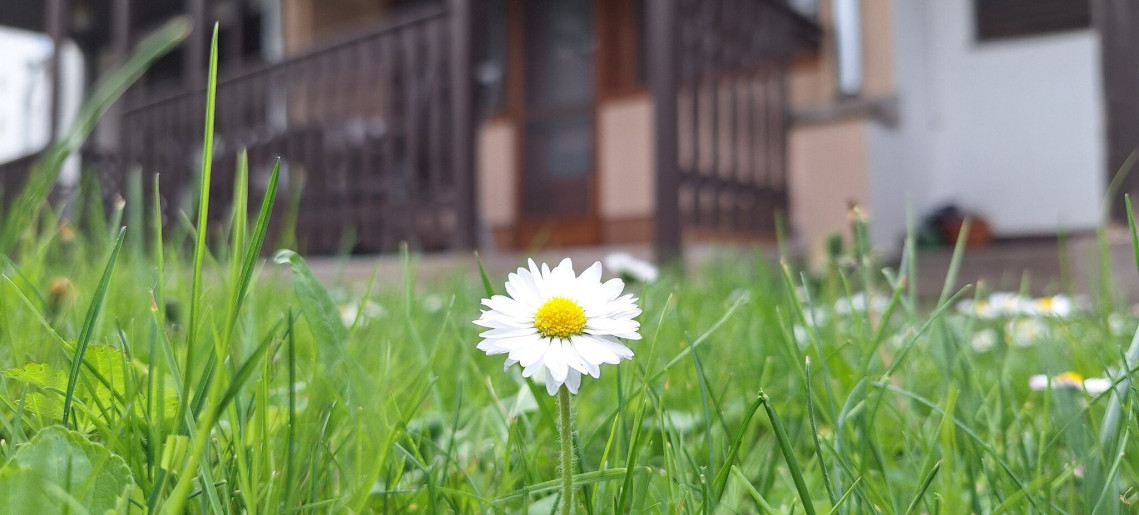 For You Apartman Gyula - 20