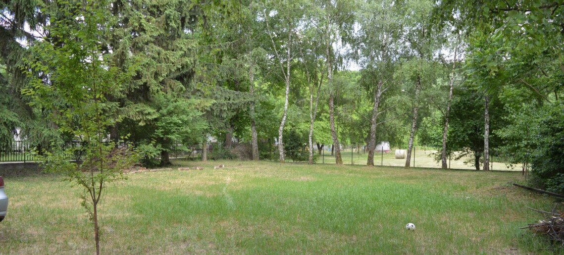 Körös Liget Vendégház Gyula - 5