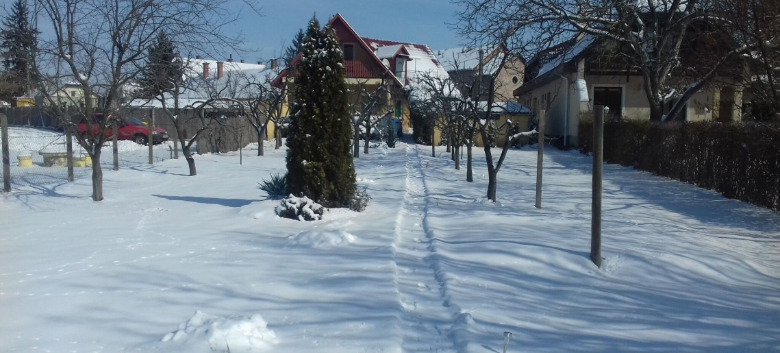 Betekints Apartman Gyula - 8