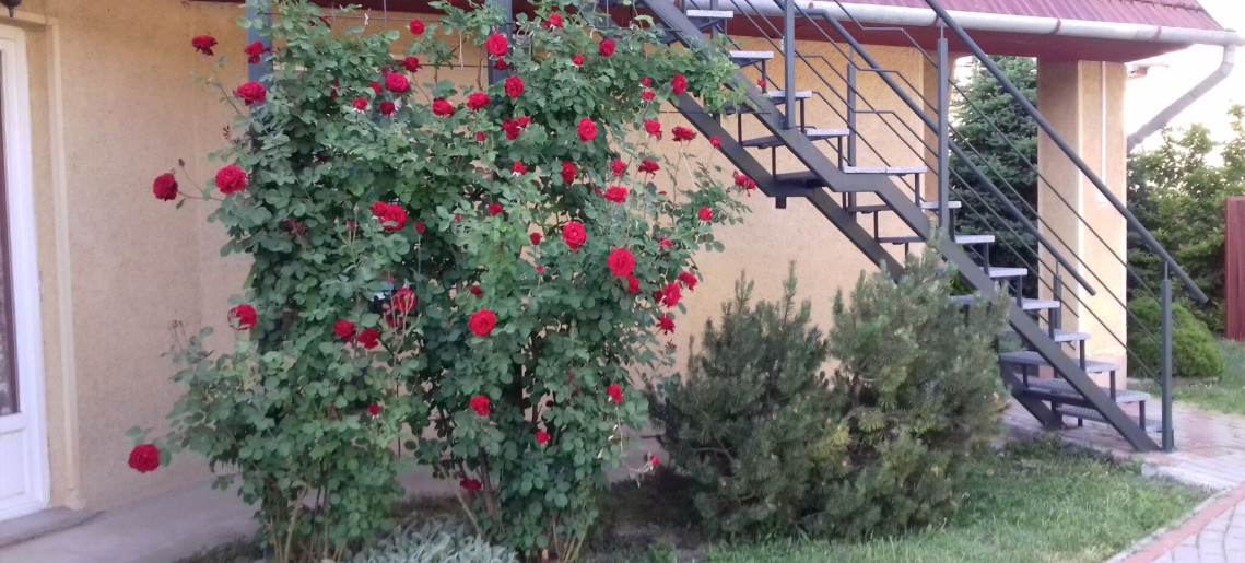 Betekints Apartman Gyula - 4