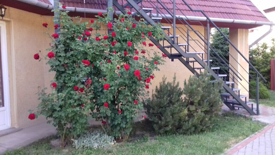 Betekints Apartman Gyula - 4