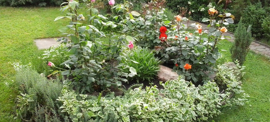 Betekints Apartman Gyula - 5