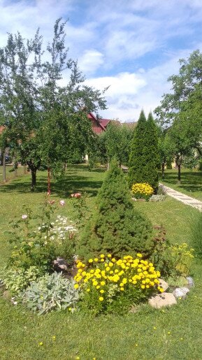 Betekints Apartman Gyula - 7