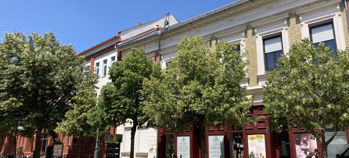 Világóra Apartman Gyula - 3